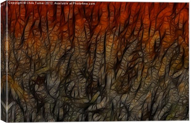 Cornfield Sunset (Fractalius) Canvas Print by Chris Turner