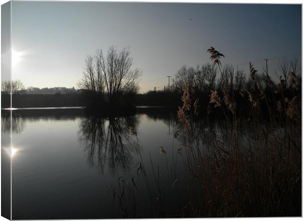 Gt Blakenham Fishing Lake Canvas Print by Ben Tasker