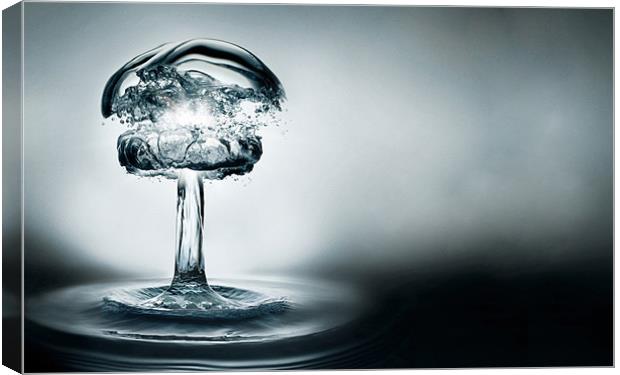 water droplet Canvas Print by Ankitesh JHA