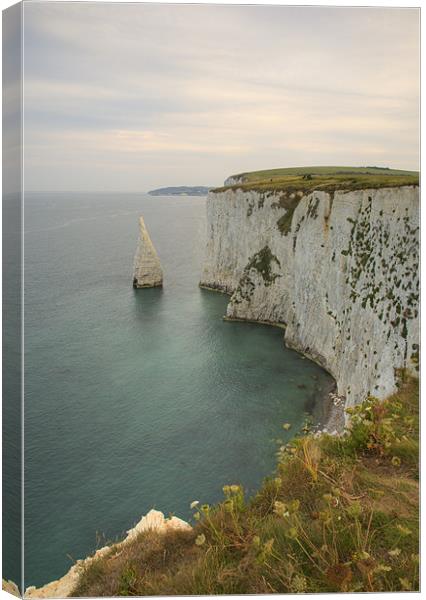 The Pinnacles at Old Harry Rocks Canvas Print by Ian Middleton