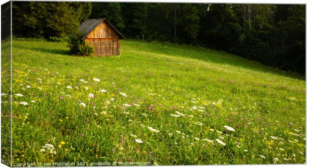 Summer meadow near Lake Bled Canvas Print by Ian Middleton