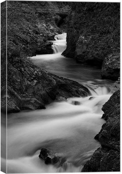 The Soteska Vintgar gorge in Black and White Canvas Print by Ian Middleton