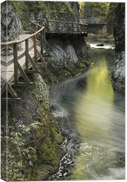 The Soteska Vintgar gorge Canvas Print by Ian Middleton