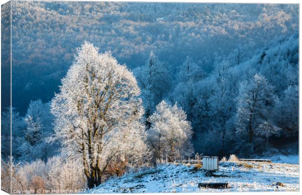 Winter landscape Canvas Print by Ian Middleton