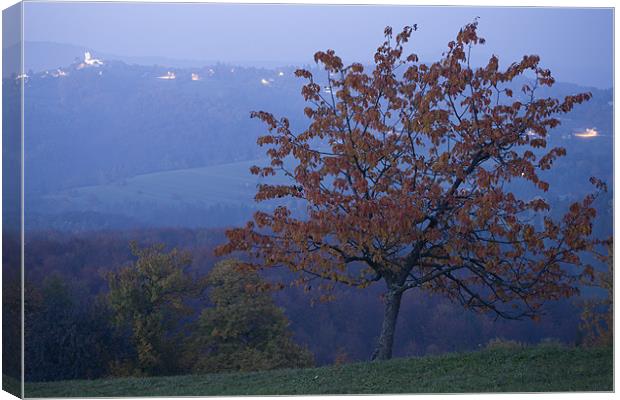 Autumn colour at dusk Canvas Print by Ian Middleton