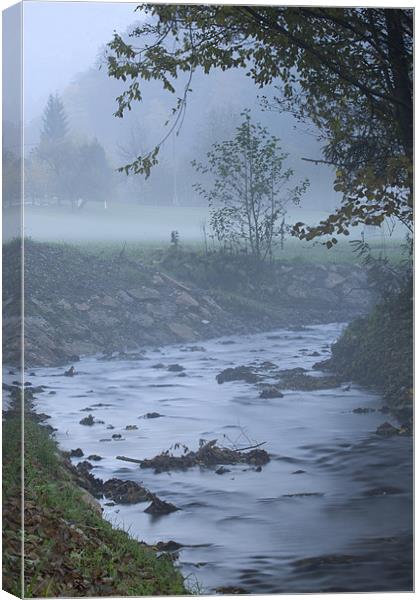 Autumn mist Canvas Print by Ian Middleton