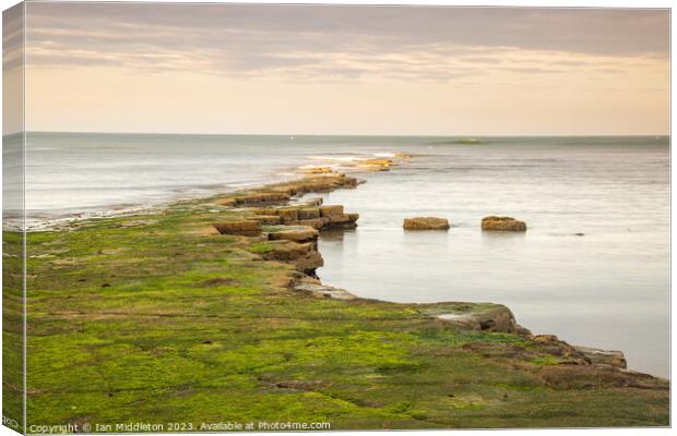 Kimmeridge bay in Dorset Canvas Print by Ian Middleton