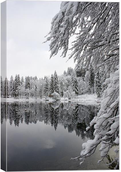 Wintery reflections Canvas Print by Ian Middleton