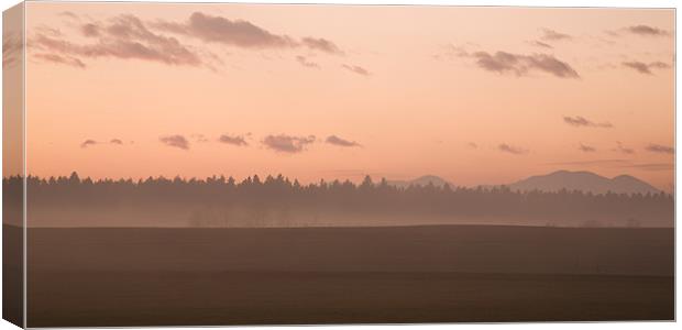 Misty fields at sunset Canvas Print by Ian Middleton