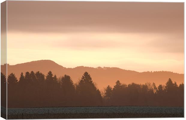 Dawn breaks over Gorenjska Canvas Print by Ian Middleton