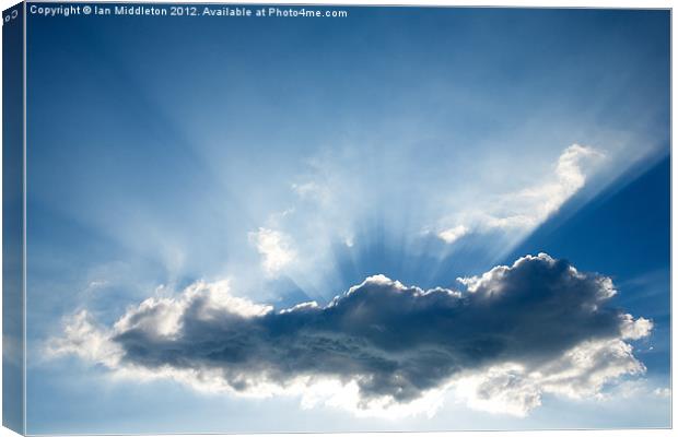 Ray of light Canvas Print by Ian Middleton