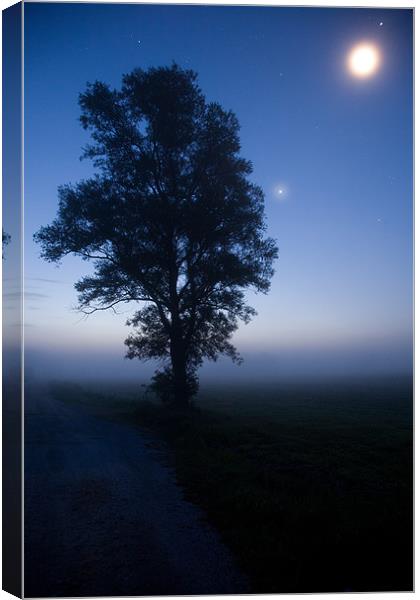 Moonlit dawn Canvas Print by Ian Middleton