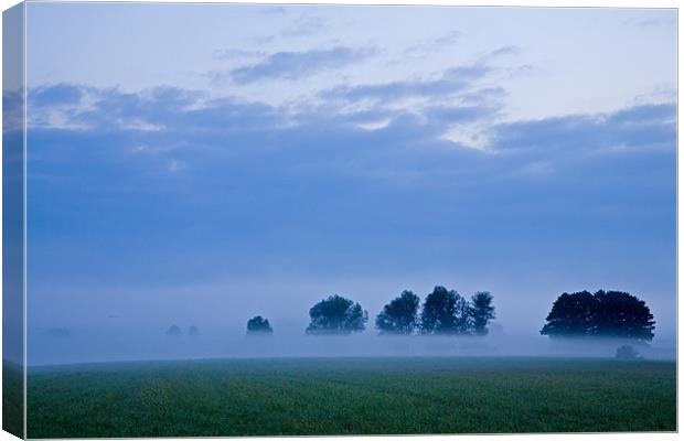 Misty marsh Canvas Print by Ian Middleton