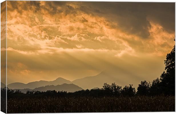 Ray of light Canvas Print by Ian Middleton
