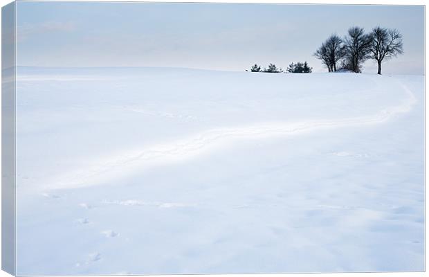 Winter Landscapes Canvas Print by Ian Middleton