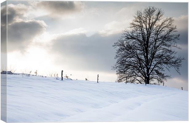 Winter Landscapes Canvas Print by Ian Middleton