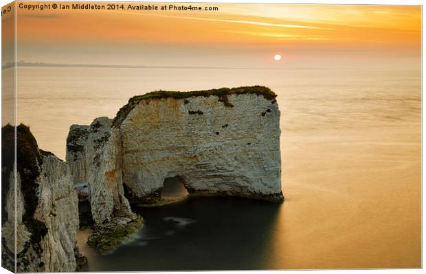 Sunrise at Old Harry Rocks Canvas Print by Ian Middleton