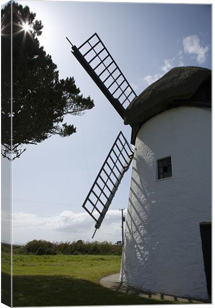 Tacumshane windmill, County Wexford, Ireland. Canvas Print by Ian Middleton