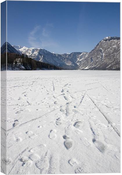 Footprints on a frozen lake Canvas Print by Ian Middleton