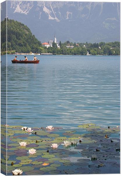 Lake Bled, Slovenia Canvas Print by Ian Middleton