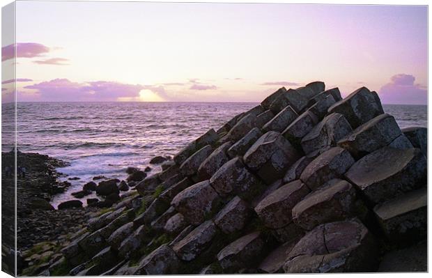 Giants Causeway at dusk Canvas Print by Ian Middleton