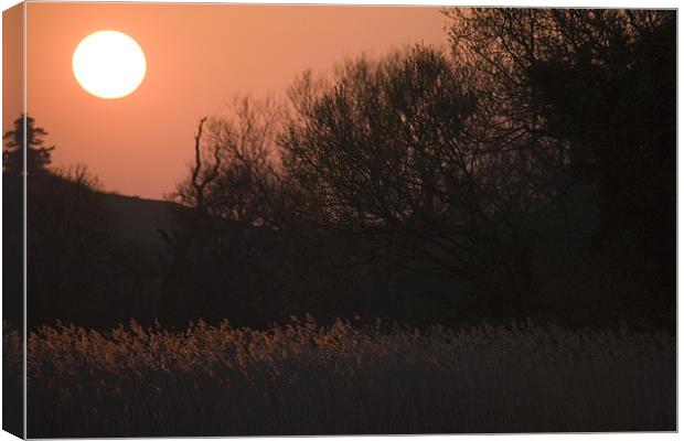 Sunset in Chilbolten, Hampshire, England. Canvas Print by Ian Middleton