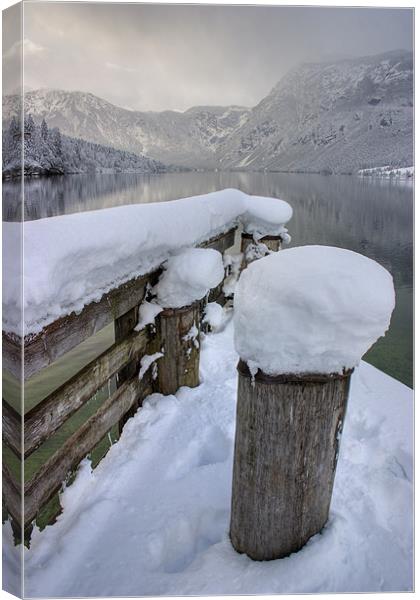 Lake Bohinj in winter, Slovenia Canvas Print by Ian Middleton