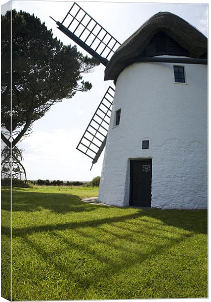 Tacumshane windmill Canvas Print by Ian Middleton