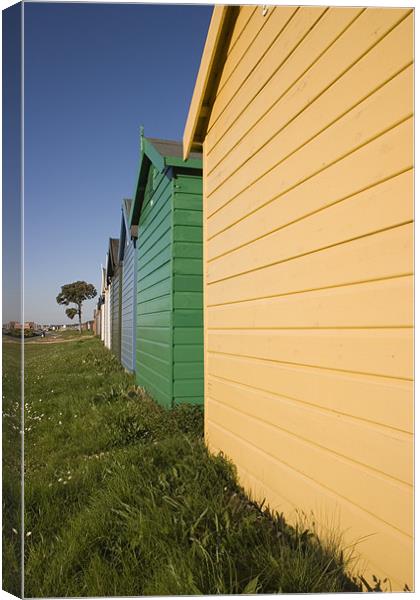 Colourful beach huts in Calshot , Solent , Hampshi Canvas Print by Ian Middleton