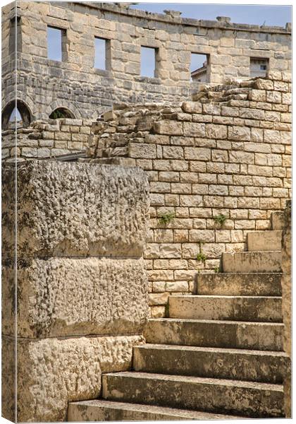 Colosseum in pula, Croatia Canvas Print by Ian Middleton