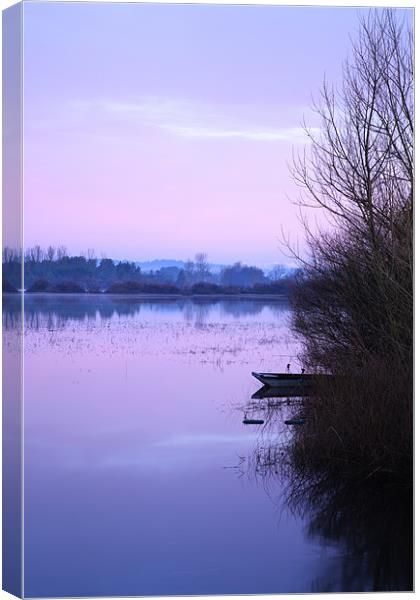 Cerknica lake at dawn, Notranjska, Slovenia Canvas Print by Ian Middleton