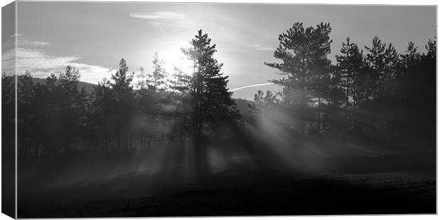 Sunrise bursting through trees and mist Canvas Print by Ian Middleton