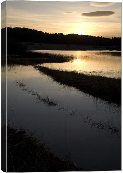 Palsko Lake, Pivka lakes, Slovenia Canvas Print by Ian Middleton