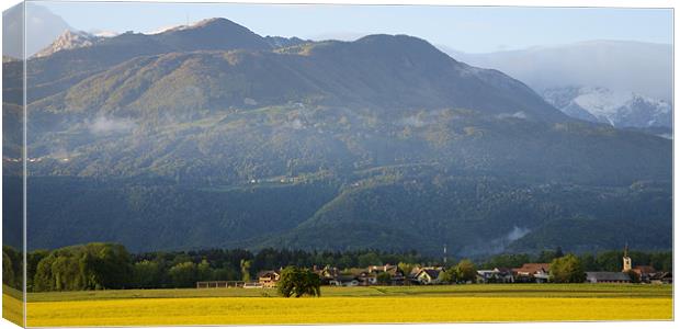 rapeseed field with Kamnik Alps Canvas Print by Ian Middleton