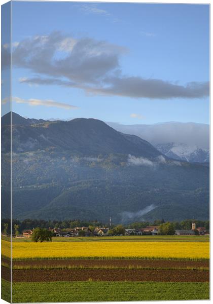 rapeseed field in Brnik with Kamnik Alps in the ba Canvas Print by Ian Middleton