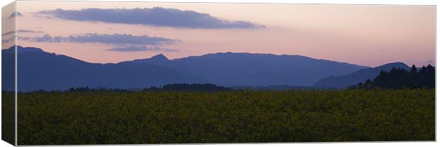 Mountain dawn Canvas Print by Ian Middleton