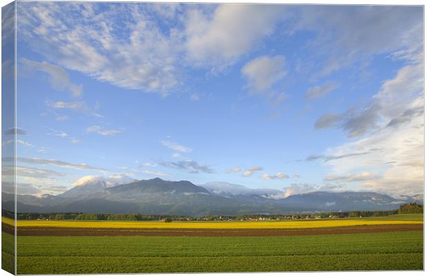 Big sky Canvas Print by Ian Middleton