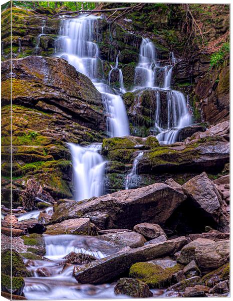 Waterfall Shipot Canvas Print by Sergey Golotvin