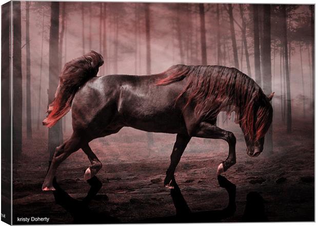 Warrior Canvas Print by kristy doherty