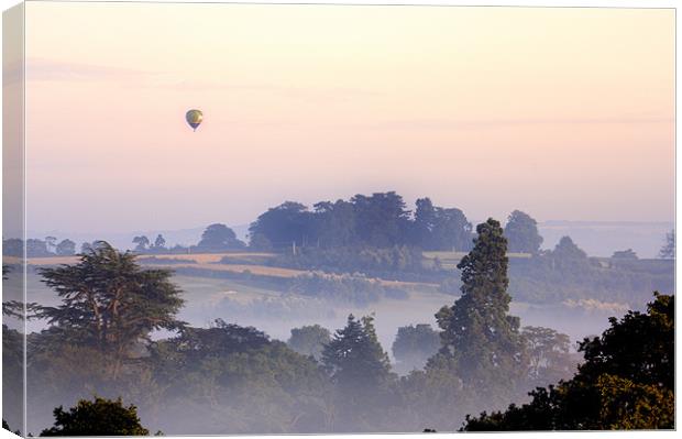 Hot Air Balloon at Dawn Canvas Print by Stuart Thomas