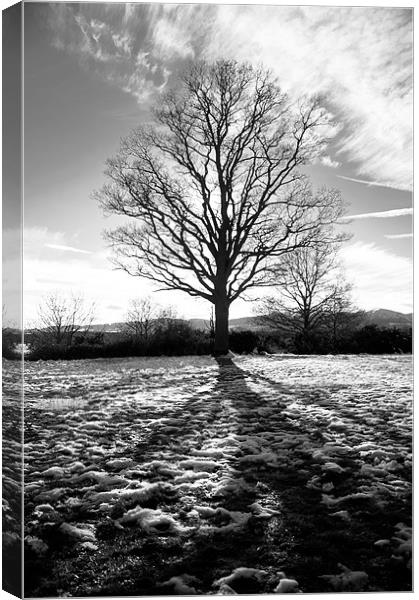 Shadows over snow Canvas Print by Robert Bilsland