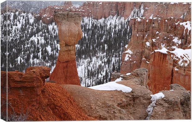 bryce canyon usa Canvas Print by milena boeva