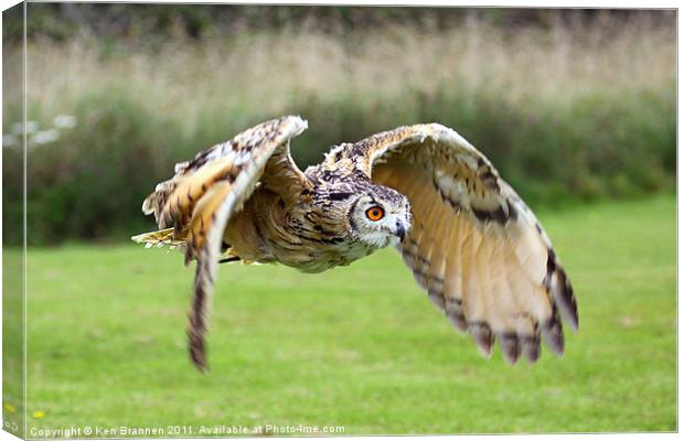 European Eagle Owl in Flight Canvas Print by Oxon Images