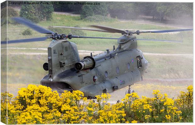 Chinook Landing in dust 2 Canvas Print by Oxon Images