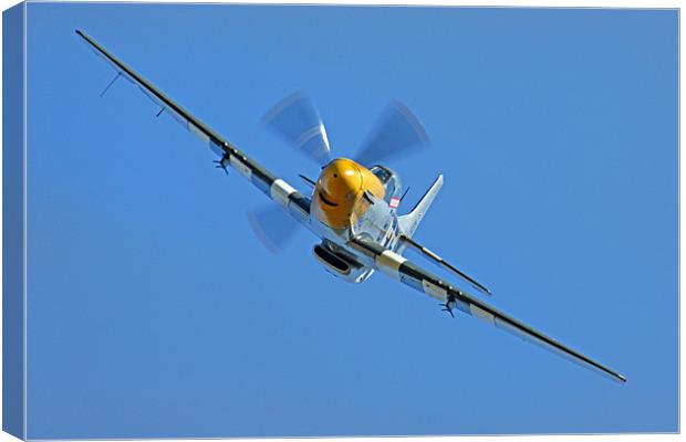 P51 Mustang head on Canvas Print by Oxon Images