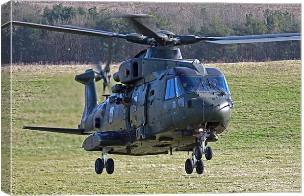 RAF Merlin Canvas Print by Oxon Images