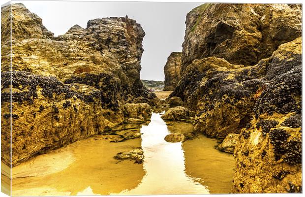 Perranporth rock pool Canvas Print by Oxon Images