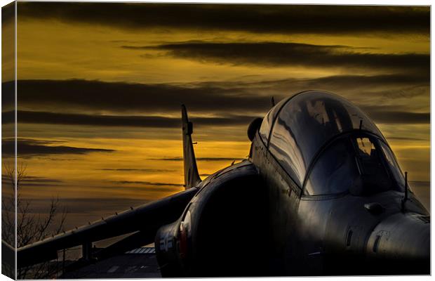 Harrier at Sunset Canvas Print by Oxon Images