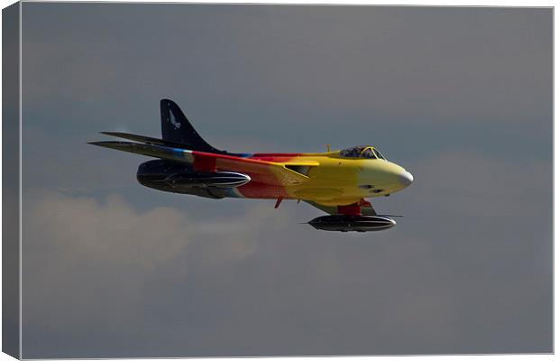  Miss Demeanour at Yeovilton Canvas Print by Oxon Images