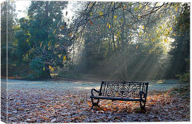 Bench Canvas Print by Oxon Images